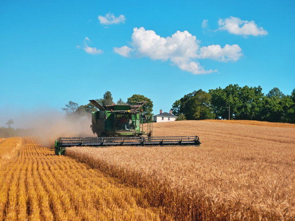 Duley farm_02.jpg